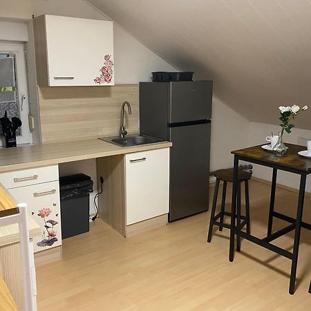 Deluxe Business Suite Mit Netflix Premium & Parkplatz, Zentral Zu Audi & Schwarz Gruppe With 2 Bedrooms Bad Friedrichshall Exterior photo