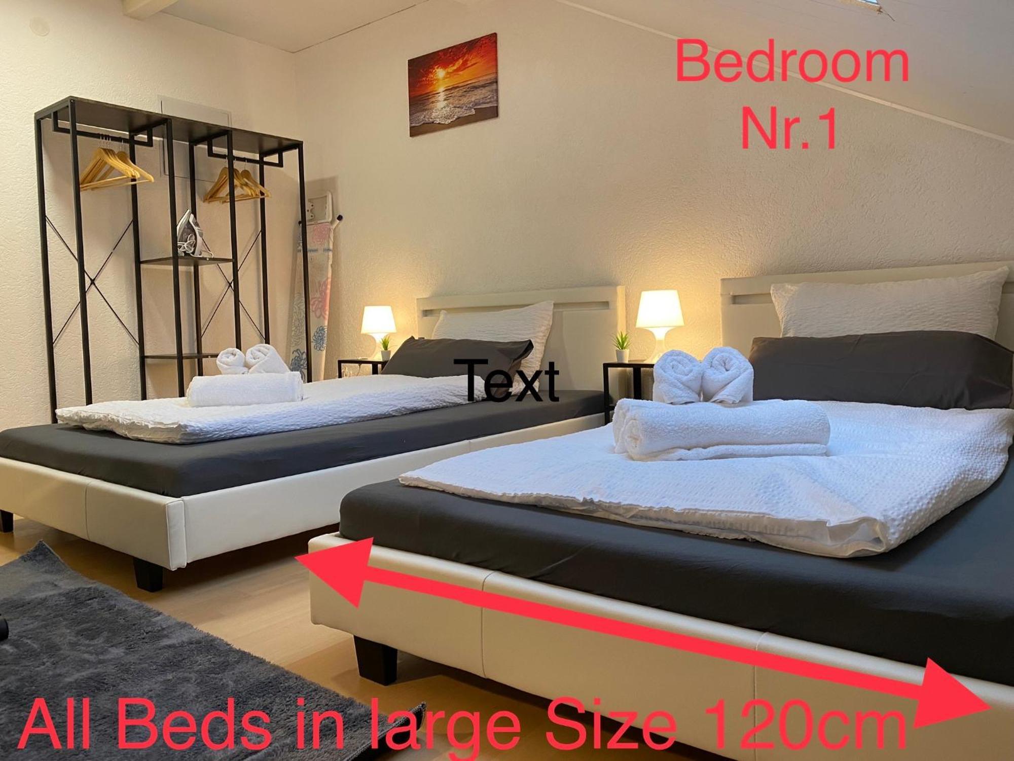 Deluxe Business Suite Mit Netflix Premium & Parkplatz, Zentral Zu Audi & Schwarz Gruppe With 2 Bedrooms Bad Friedrichshall Exterior photo